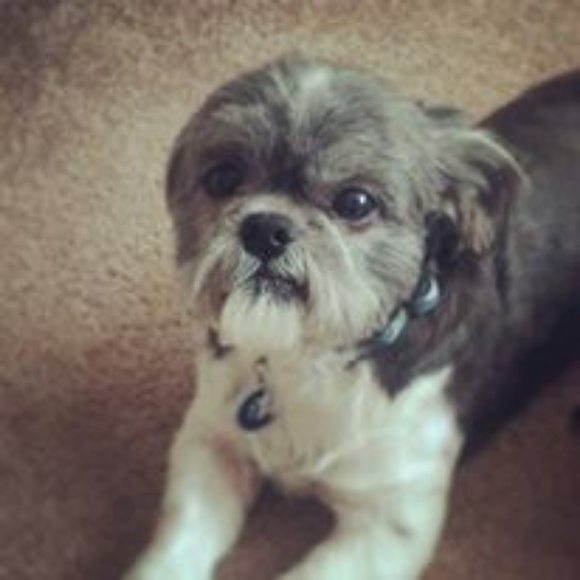 Meet your Posher, Erika - Picture 5 of 6